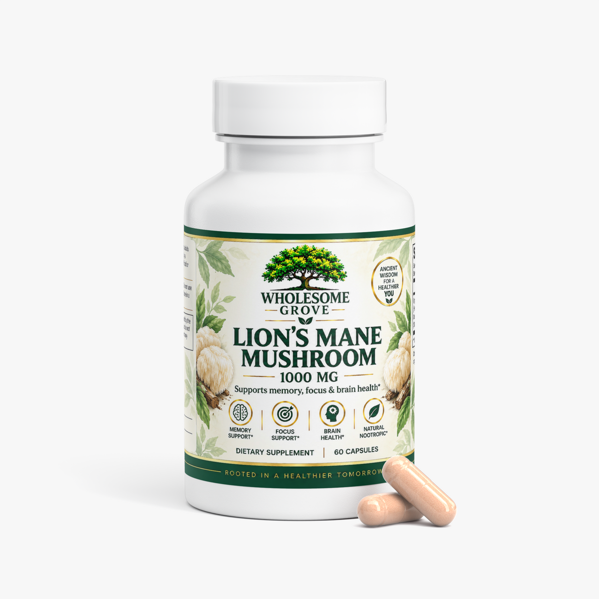 Lion's Mane Mushroom
