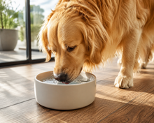 Fresh water & hydration