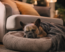Rest & recover