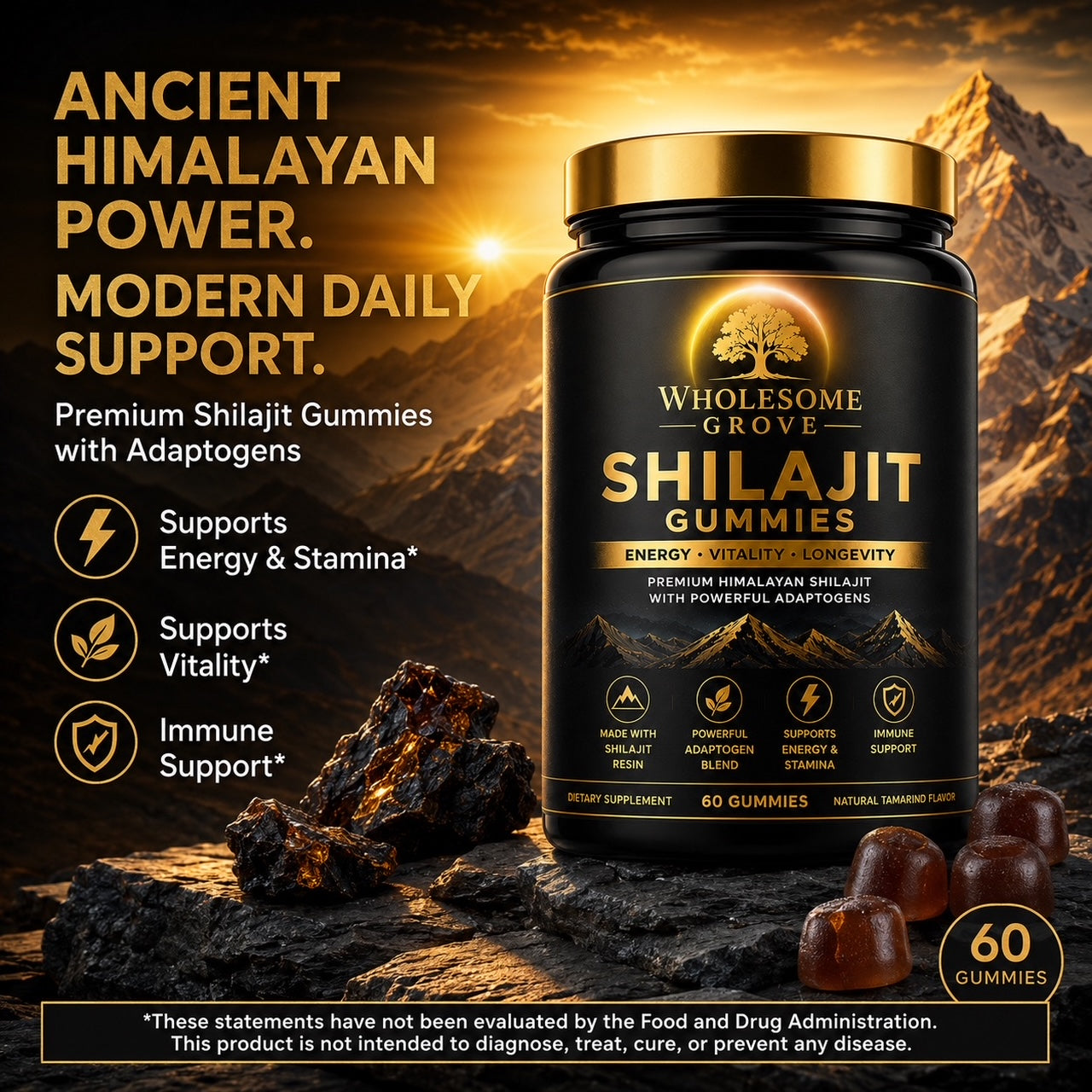 Wholesome Grove® Shilajit Gummies - Primary Image